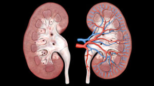 Chronic_Kidney_diseases